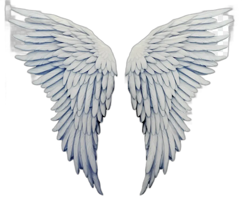 Angel Wings