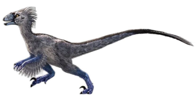 Feathered Velociraptor Dinosaur