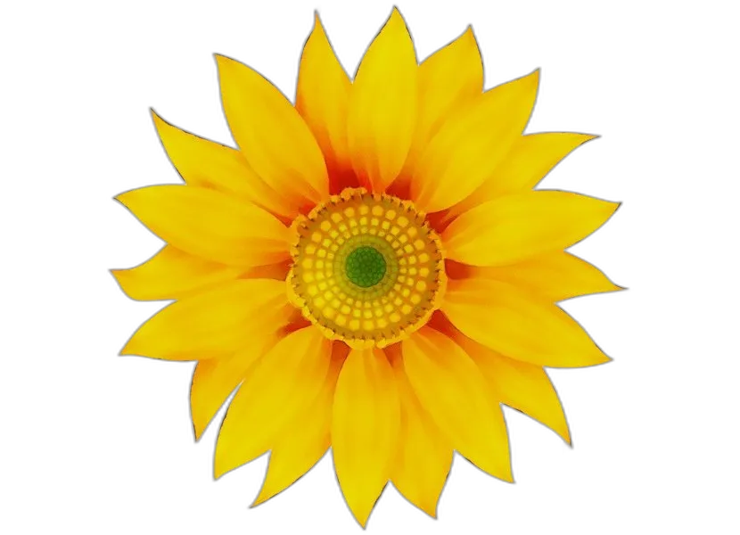 Sunflower with Yellow Petals