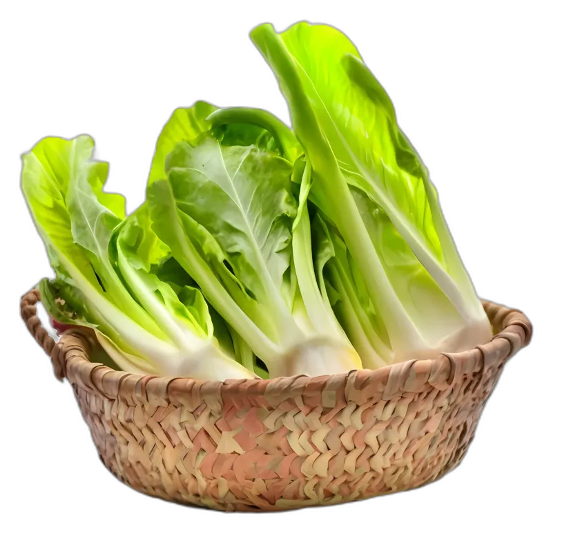 Fresh Bok Choy in Woven Basket