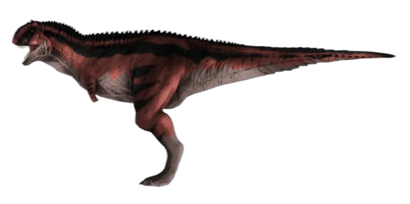 Carnotaurus Dinosaur