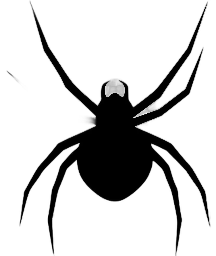 Silhouette Spider Model