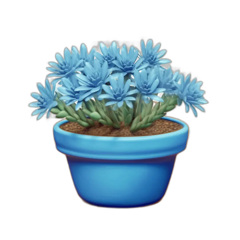 Potted Blue Senecio Succulent