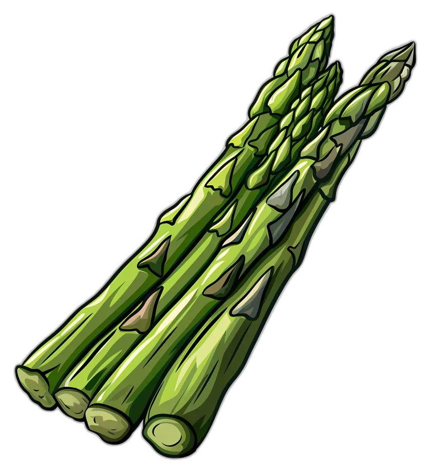 Stylized Asparagus