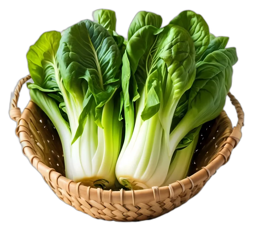 Fresh Bok Choy in Basket